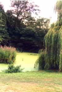 Bapsey Pond holy well
